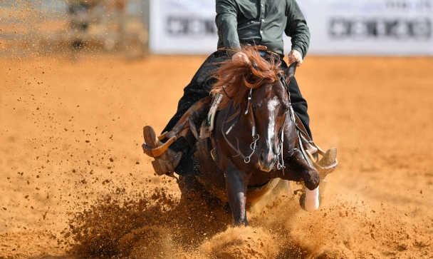 cowboy riding a horse outside in the middle of a rodeo arena - Texas Crown Club story